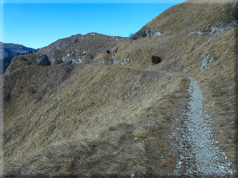 foto Salita dal Monte Tomba a Cima Grappa